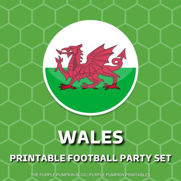 Printable Wales Football Party Set (World Cup)