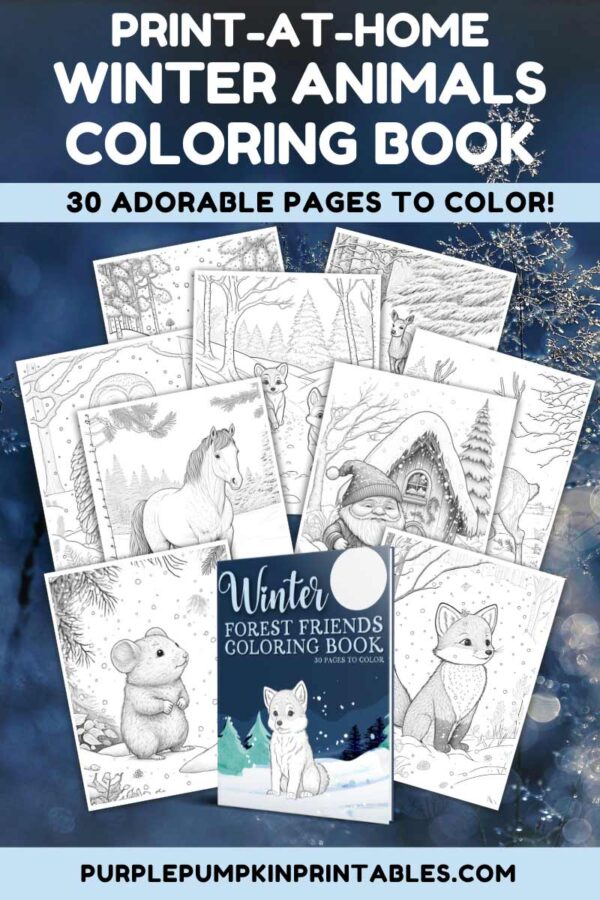 30-Page Print-At-Home Winter Animals Coloring Book