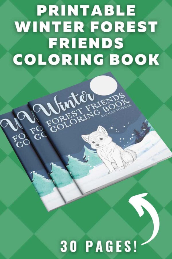 Printable Winter Forest Friends Coloring Book with 30 Pages