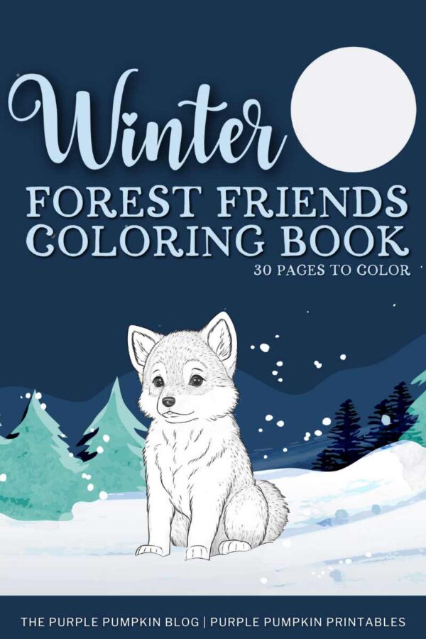 Winter Friends Coloring Book 30 Pages to Color