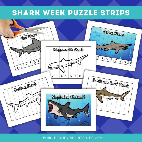 Shark Week Puzzle Strips