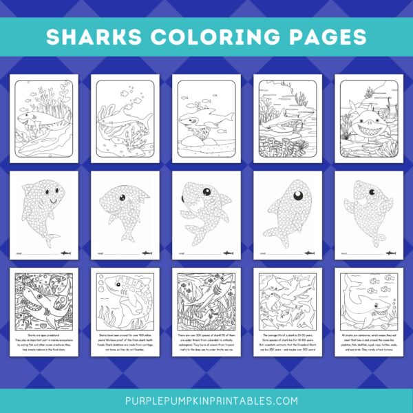 Sharks Coloring Pages