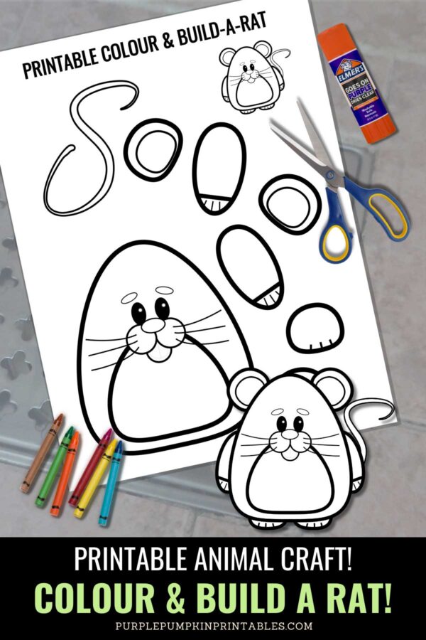 Printable Animal Craft! Colour & Build a Rat!