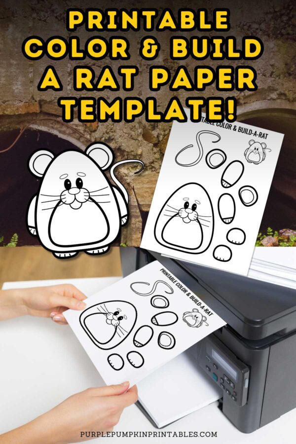 Printable Color & Build a Rat Paper Template
