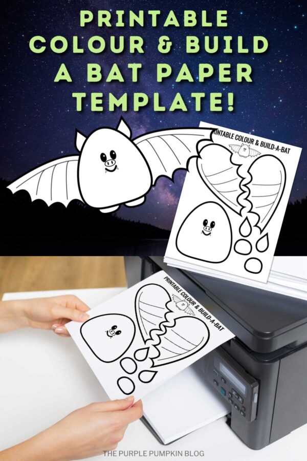 Printable Colour & Build a Bat Paper Template!