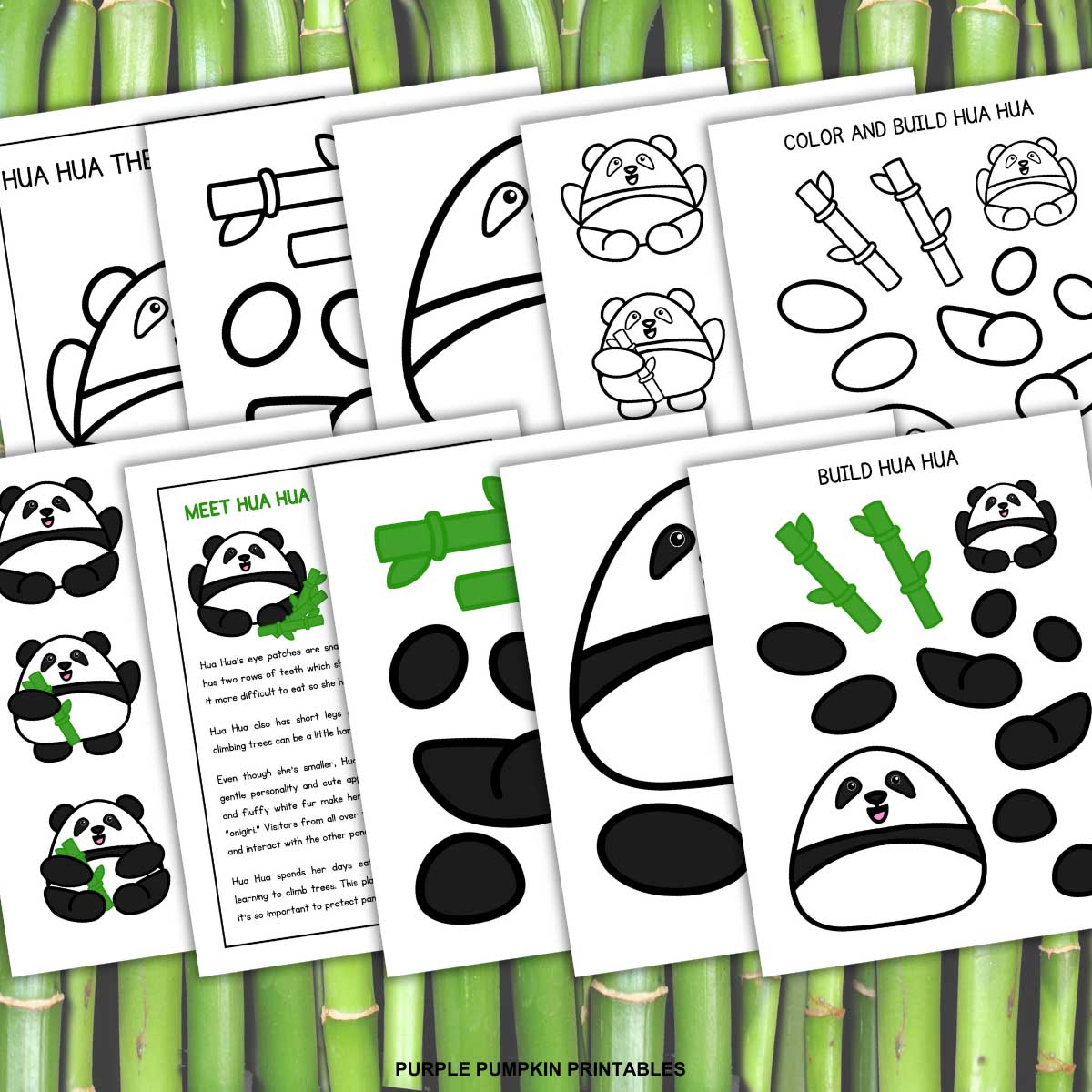 Digital mock up of the printable sheets and pieces to color and build Hua Hua the Giant Panda.