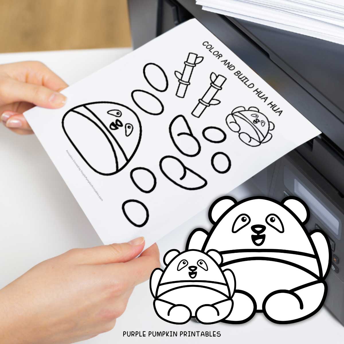 Digital mock up of the printable sheets and pieces to color and build Hua Hua the Giant Panda.