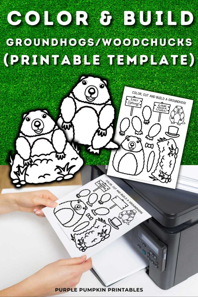 Digital mock up of full color and/or black-and-white templates of a cute cartoon groundhog, with additional items like scissors, glue, crayons, and printer. Text overlay says: Color & Build Groundhogs/Woodchucks (Printable Template)