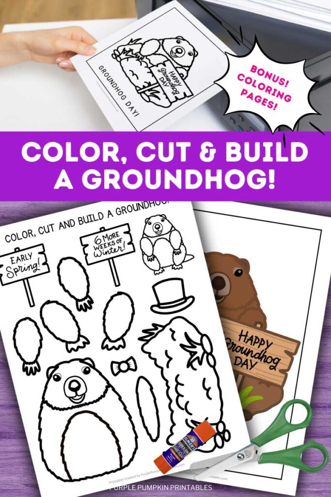 Digital mock up of full color and/or black-and-white templates of a cute cartoon groundhog, with additional items like scissors, glue, crayons, and printer. Text overlay says: Color Cute and Build a Groundhog! Bonus! Coloring Pages!