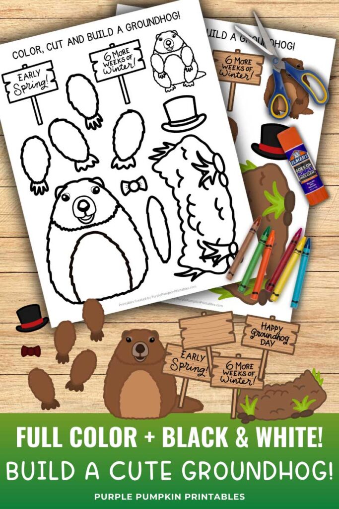 Digital mock up of full color and/or black-and-white templates of a cute cartoon groundhog, with additional items like scissors, glue, crayons, and printer. Text overlay says: Full Color and Black & White Build a Cute Groundhog