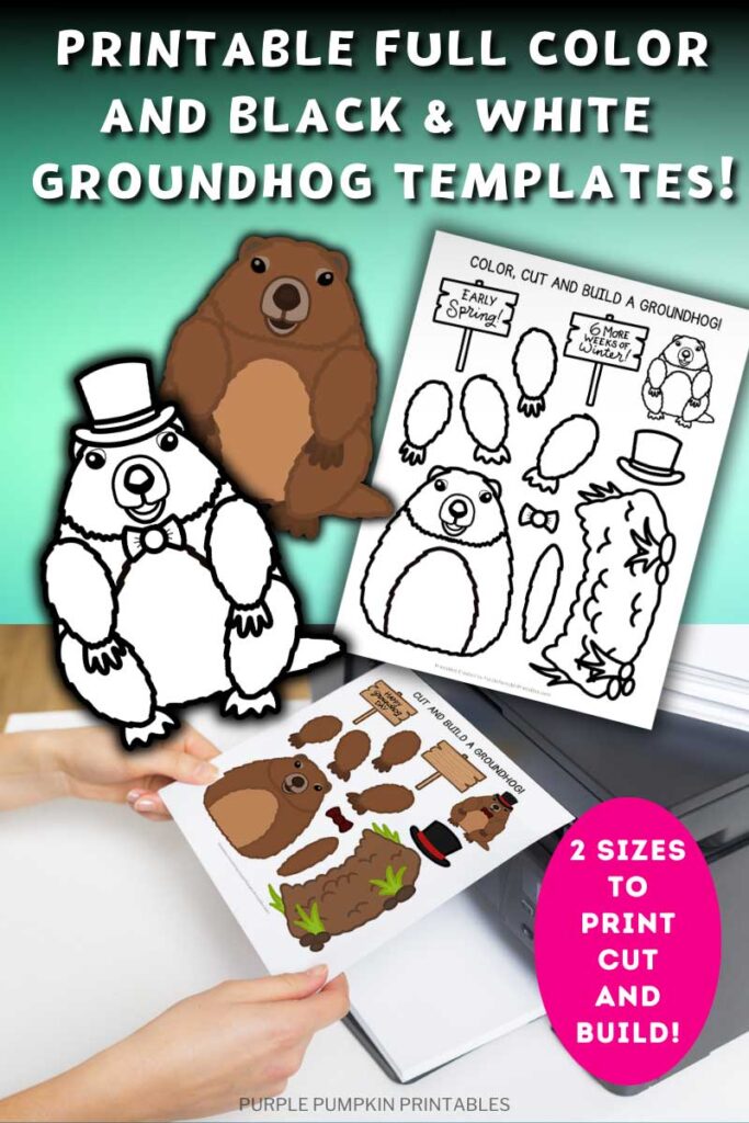 Digital mock up of full color and/or black-and-white templates of a cute cartoon groundhog, with additional items like scissors, glue, crayons, and printer. Text overlay says: Printable Full Color and Black & White Groundhog Templates! 2 Sizes to Print, Cut, and Build!